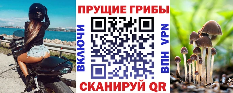 Псилоцибиновые грибы MAGIC MUSHROOMS  Омутнинск 